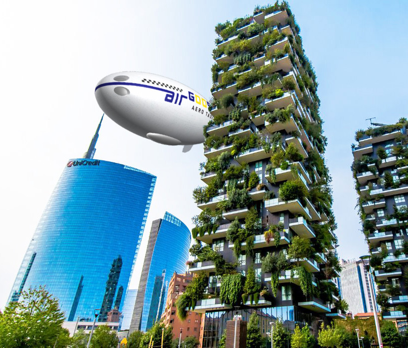 AIRGOOSE PROJECT